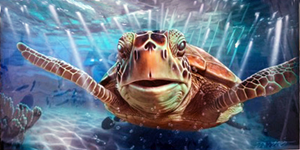 Thatcher the Turtle 20X40