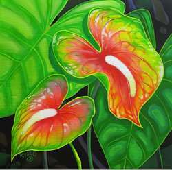 Anthurium 12X12 